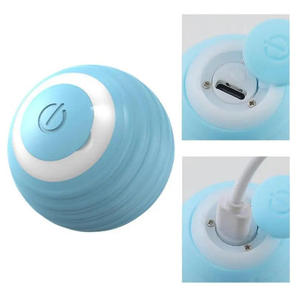 2024 Smart Rechargeable Cat Toy: Self-Rolling Ball for Interactive Indoor Fun