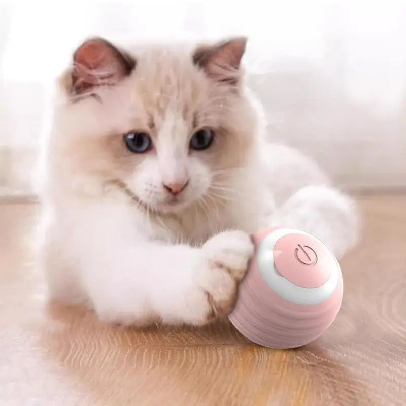 2024 Smart Rechargeable Cat Toy: Self-Rolling Ball for Interactive Indoor Fun