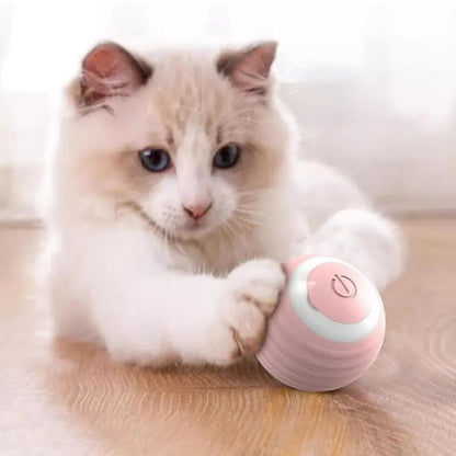 2024 Smart Rechargeable Cat Toy: Self-Rolling Ball for Interactive Indoor Fun