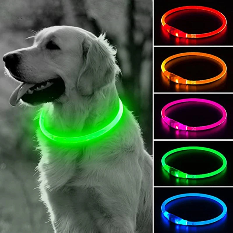 LED Dog Collar: USB Rechargeable, 3 Light Modes for Safety & Visibility