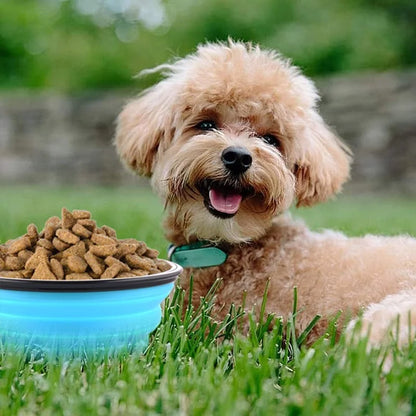 Collapsible Silicone Pet Bowl: Portable Food & Water Container for Travel