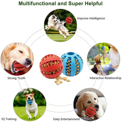 Interactive Rubber Dog Ball: Chew Toy with Tooth Cleaning & Food Dispensing