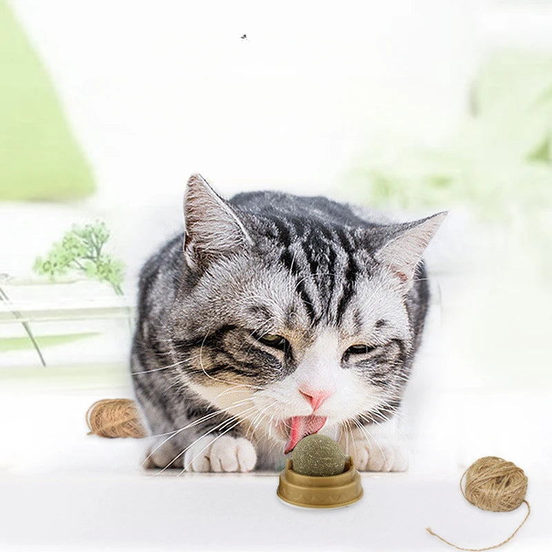 Stick-on Catnip Ball: Healthy Treat for Digestion & Hairball Removal