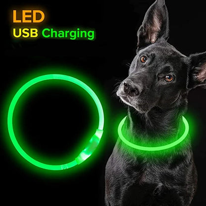 LED Dog Collar: USB Rechargeable, 3 Light Modes for Safety & Visibility