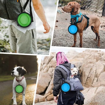 Collapsible Silicone Pet Bowl: Portable Food & Water Container for Travel