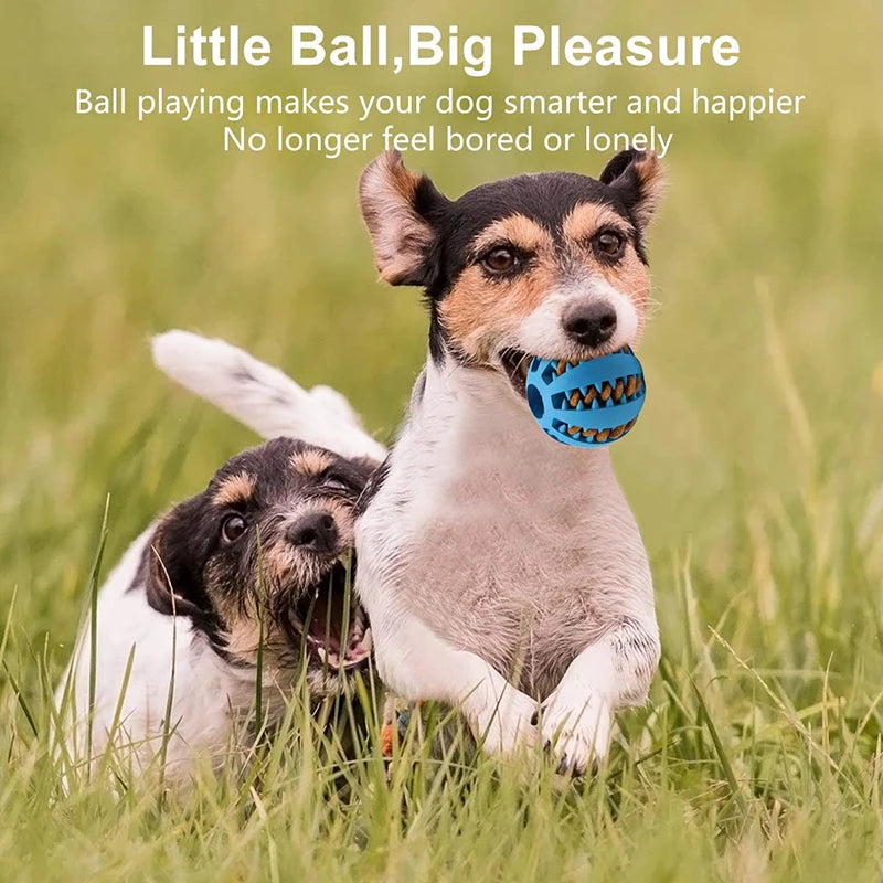 Interactive Rubber Dog Ball: Chew Toy with Tooth Cleaning & Food Dispensing