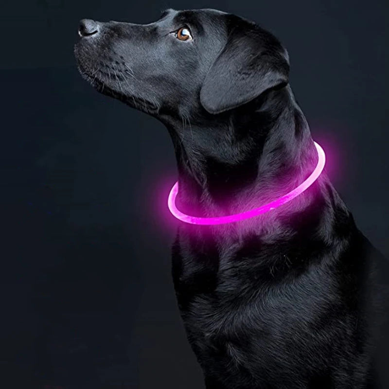 LED Dog Collar: USB Rechargeable, 3 Light Modes for Safety & Visibility