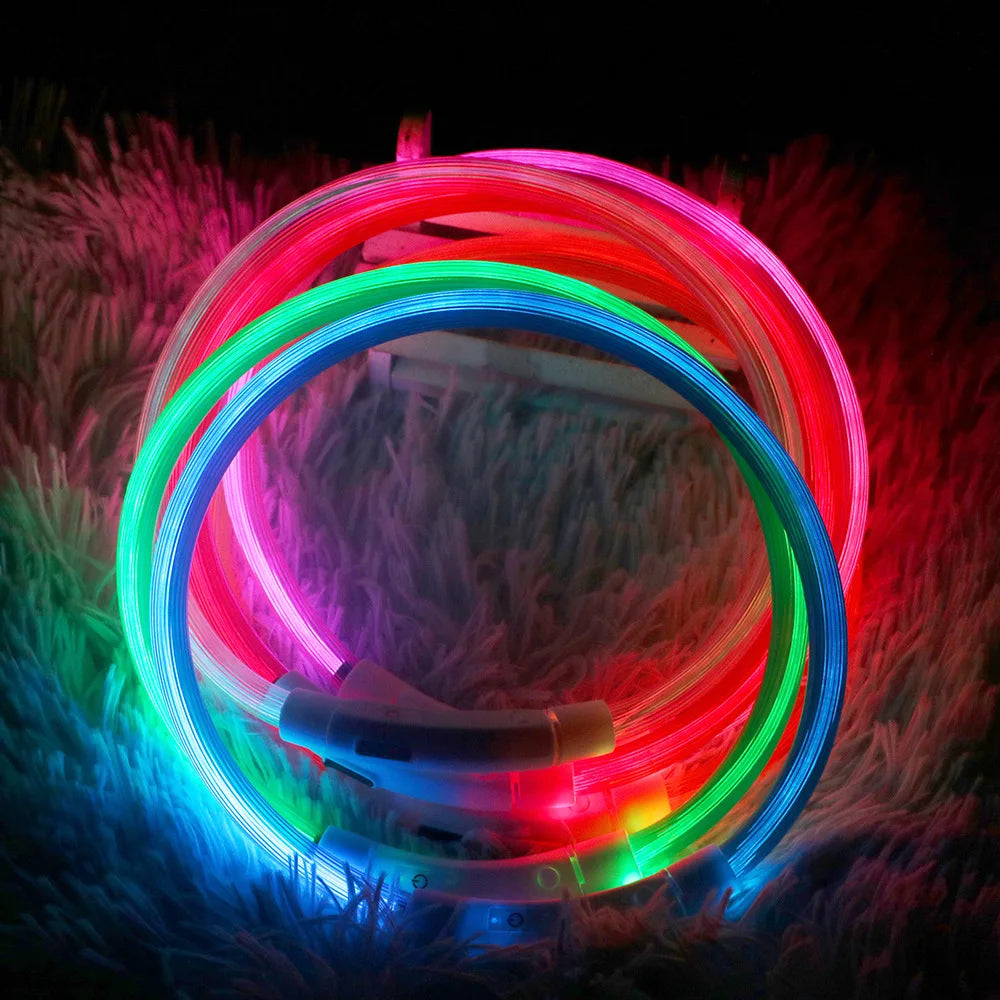 LED Dog Collar: USB Rechargeable, 3 Light Modes for Safety & Visibility